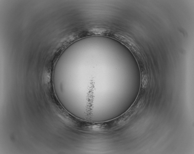 X0000115250365200911131729