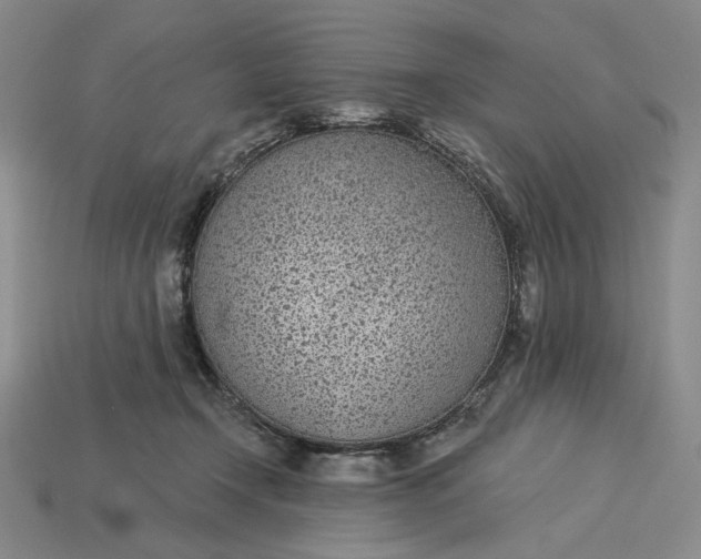 X0000115250366200911131729