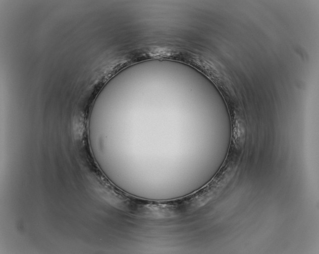 X0000115250367200911131729