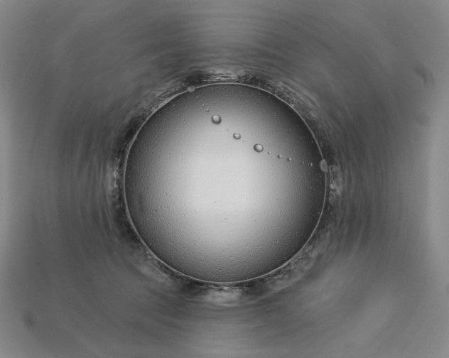 X0000115250369200911131729