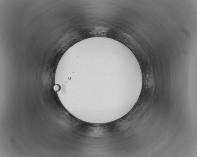 X0000115250370200911131729