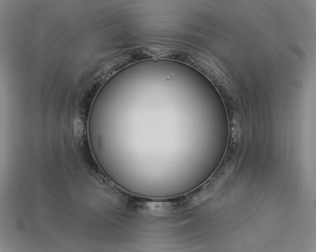 X0000115250371200911131729