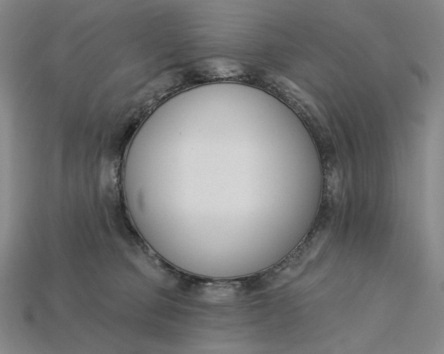 X0000115250373200911131729