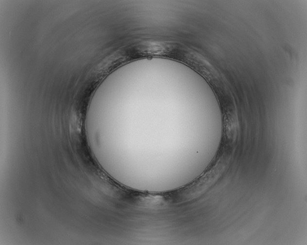 X0000115250374200911131729