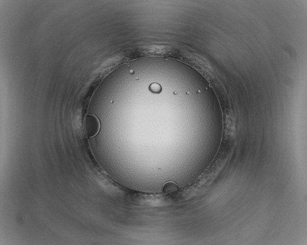 X0000115250377200911131730