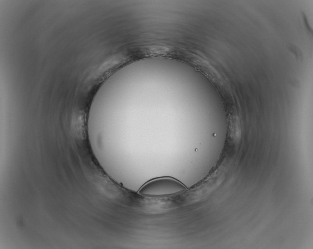 X0000115250378200911131730