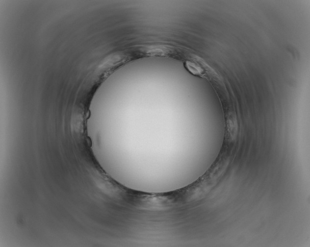 X0000115250379200911131730