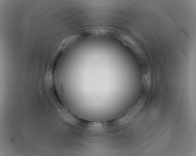 X0000115250381200911131730