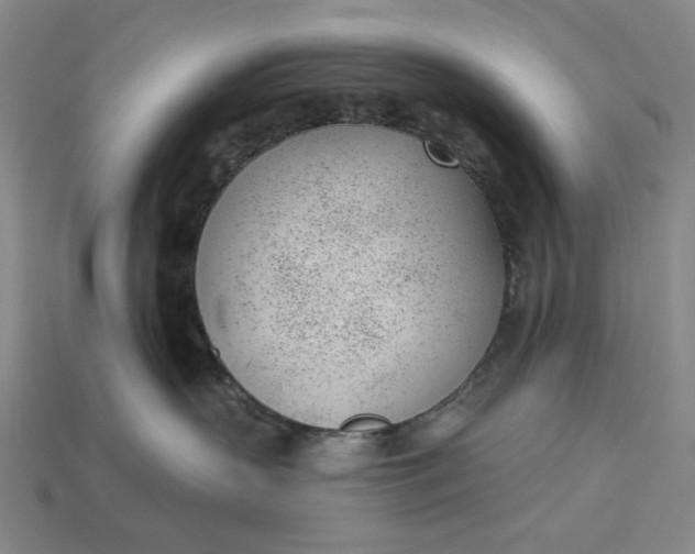 X0000115250383200911131730