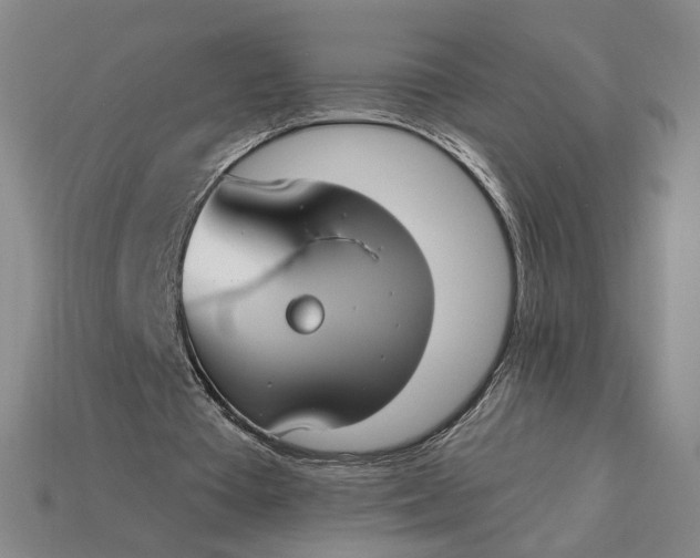 X0000115250385200911131729