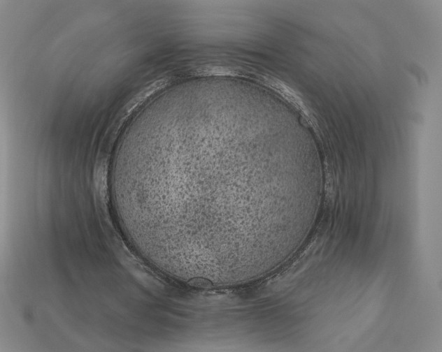 X0000115250386200911131729