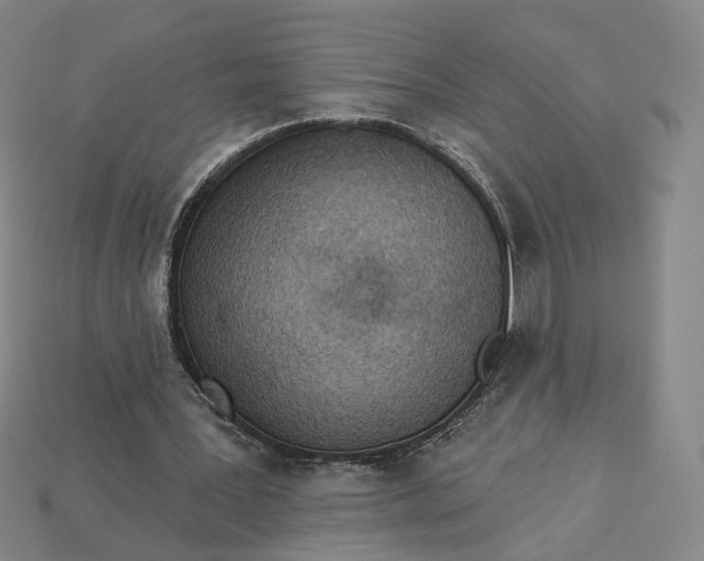 X0000115250387200911131729