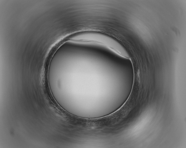 X0000115250388200911131729