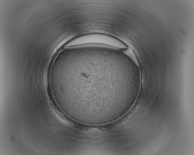 X0000115250390200911131729