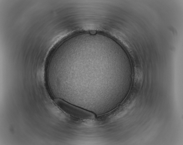 X0000115250391200911131729