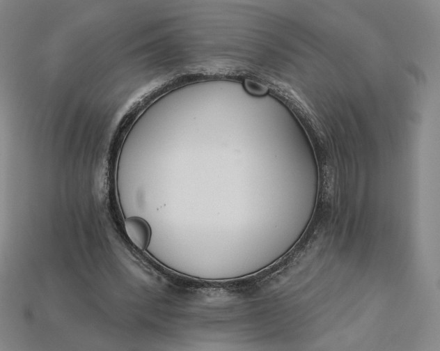 X0000115250392200911131729