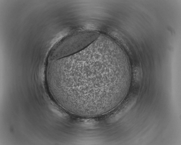 X0000115250395200911131729