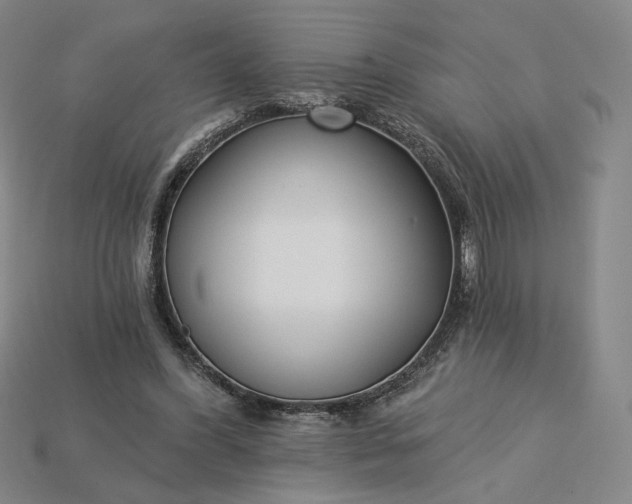 X0000115250396200911131729