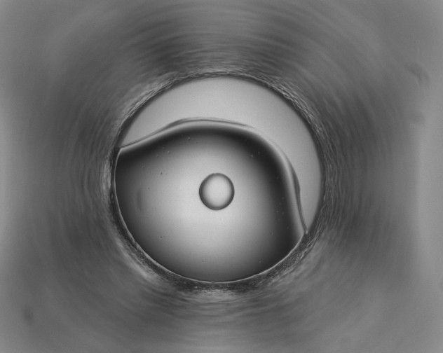 X0000115250397200911131729