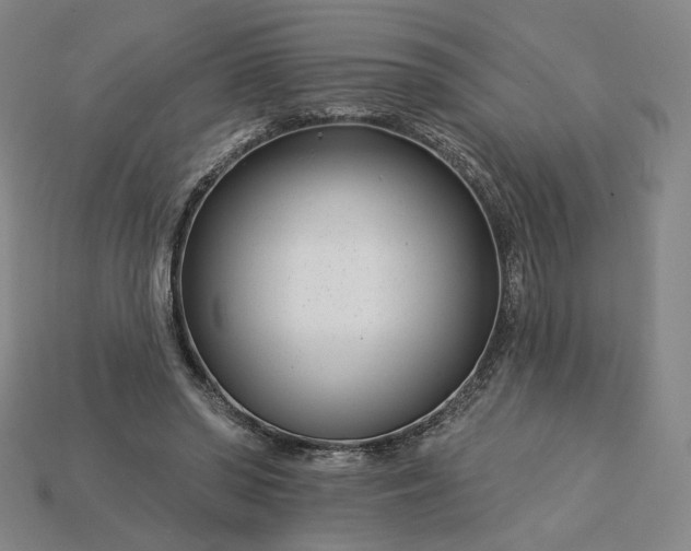 X0000115250398200911131729