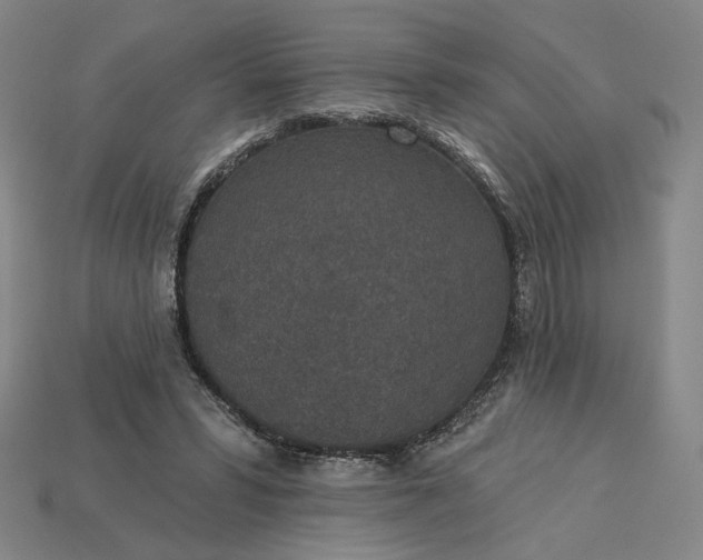 X0000115250399200911131729