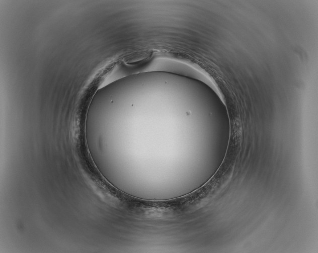 X0000115250400200911131729