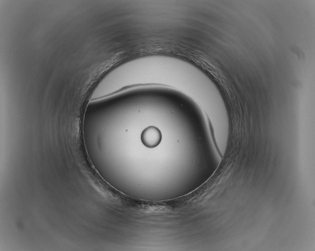 X0000115250401200911131729