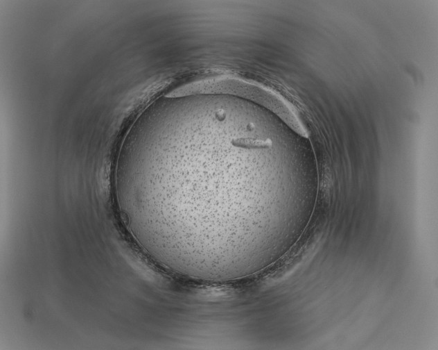 X0000115250402200911131729