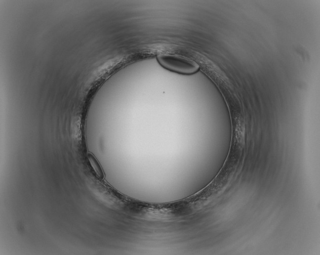 X0000115250403200911131729