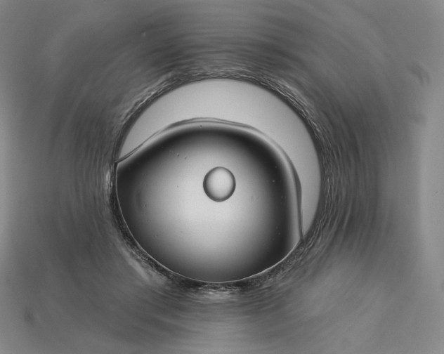 X0000115250405200911131729