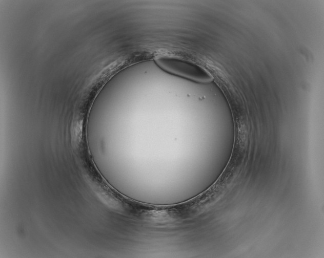 X0000115250406200911131729