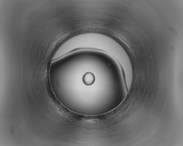 X0000115250407200911131729