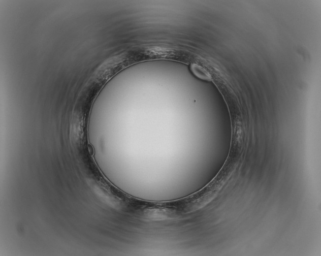 X0000115250408200911131729