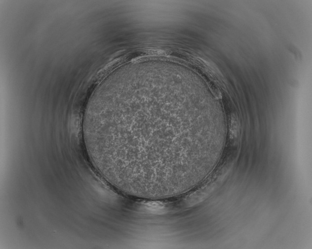 X0000115250409200911131729