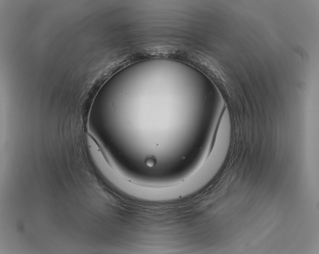 X0000115250411200911131729