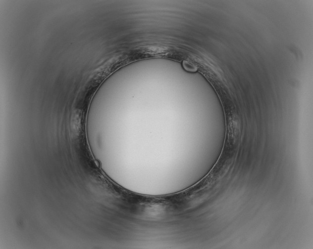 X0000115250412200911131729