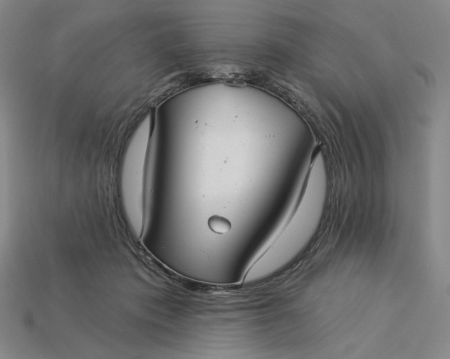 X0000115250413200911131729