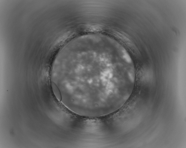 X0000115250415200911131729