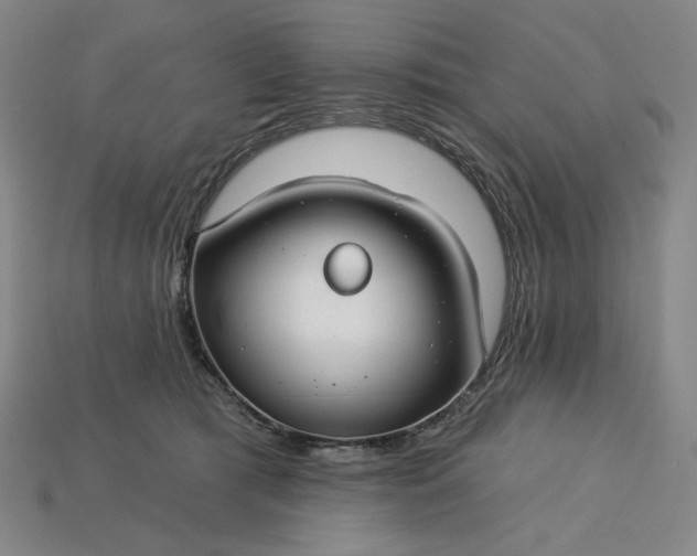 X0000115250417200911131729