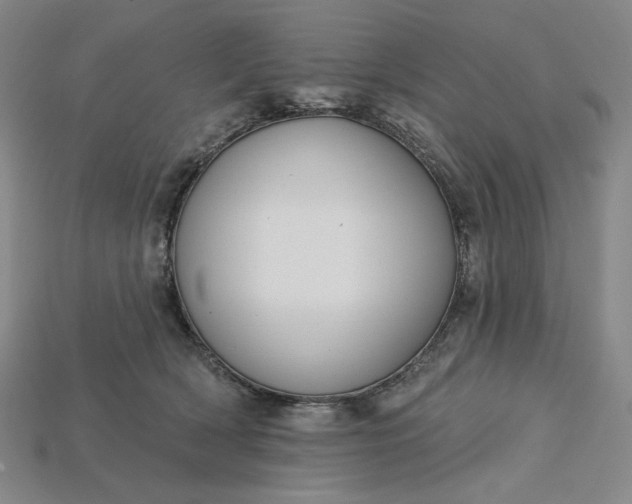 X0000115250418200911131729