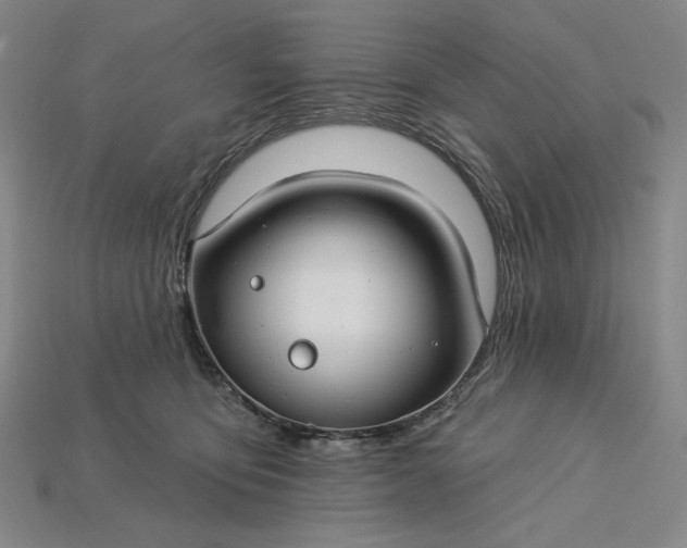 X0000115250419200911131729