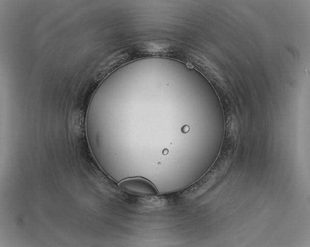 X0000115250421200911131729