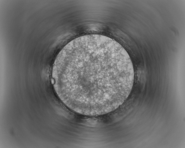 X0000115250423200911131729