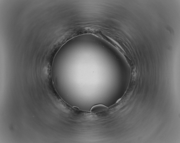 X0000115250424200911131729