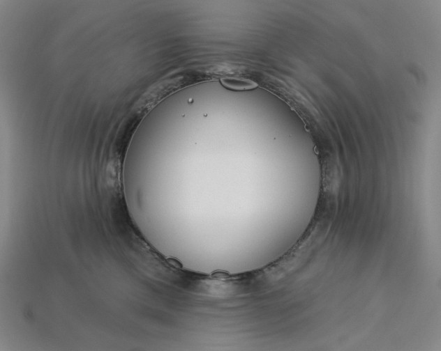 X0000115250425200911131728