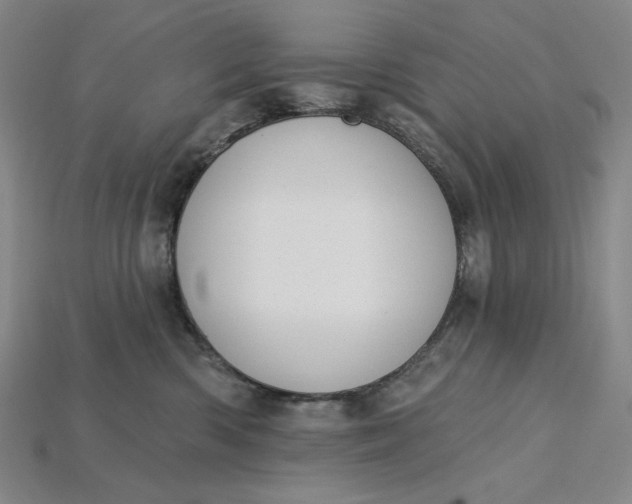 X0000115250426200911131728