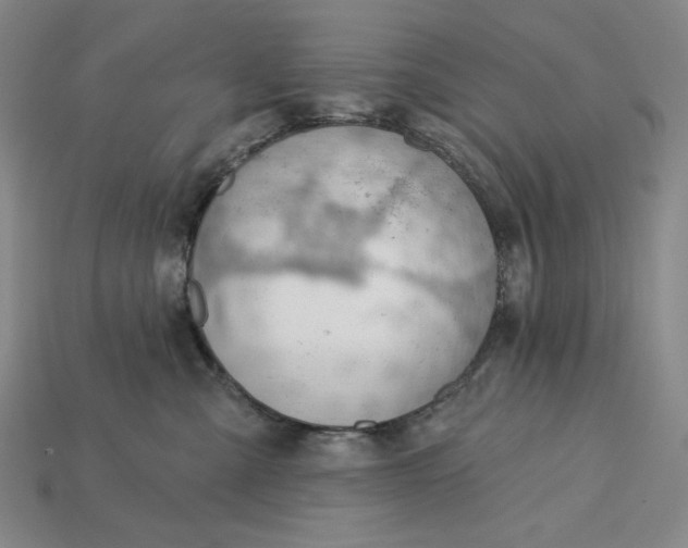 X0000115250427200911131728