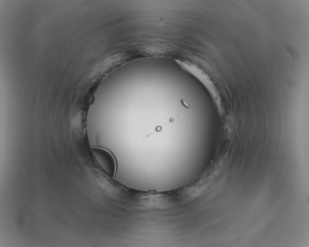 X0000115250428200911131728