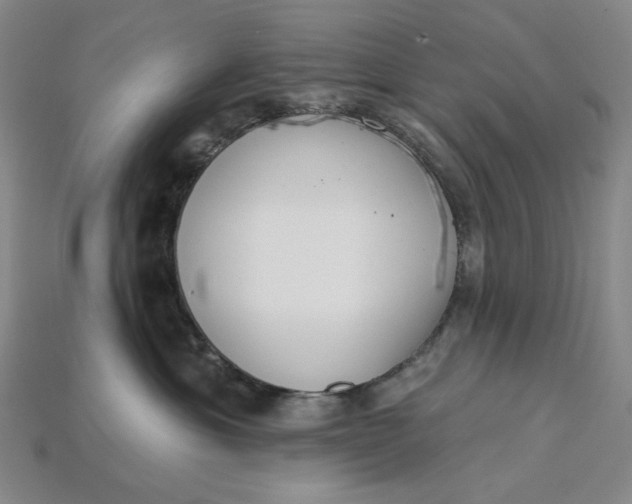 X0000115250429200911131728