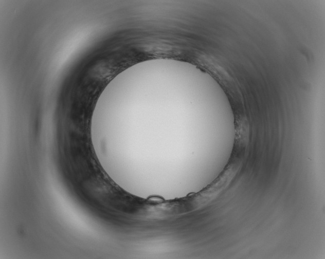 X0000115250430200911131728